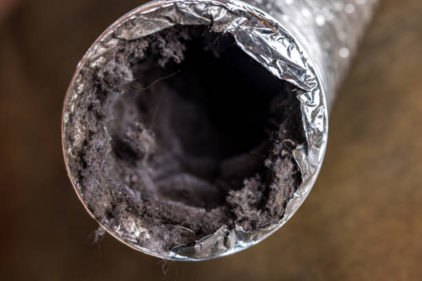 Best Residential Air Duct Cleaning  in Lake Como, NJ