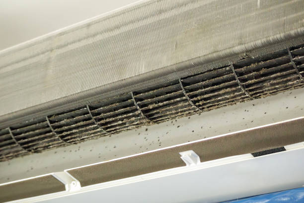 Best Home Air Vent Cleaning  in Lake Como, NJ